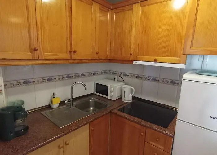 En * 托雷维耶哈